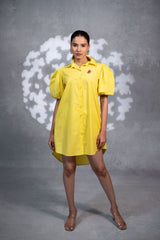 Sunshine Glow Collared Mini Dress