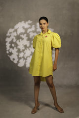 Sunshine Glow Collared Mini Dress